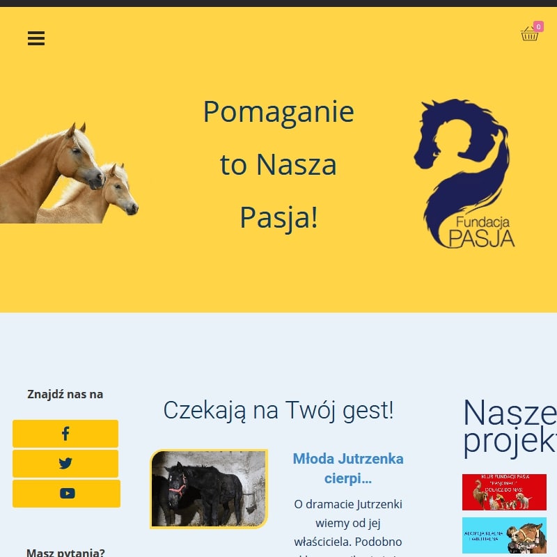 Adopcja konia ze schroniska