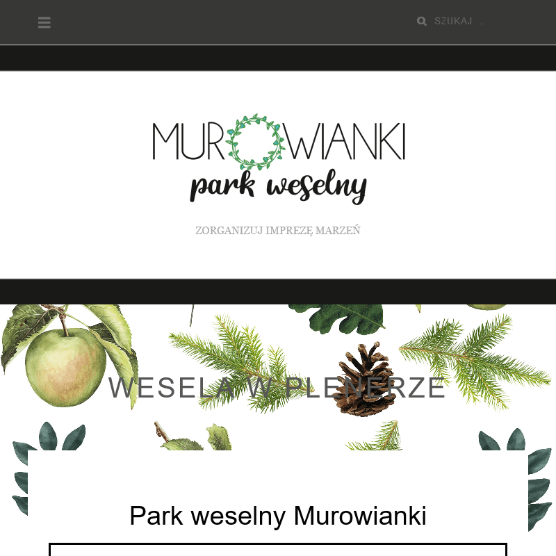 Wesele w plenerze wielkopolska w Sieradzu